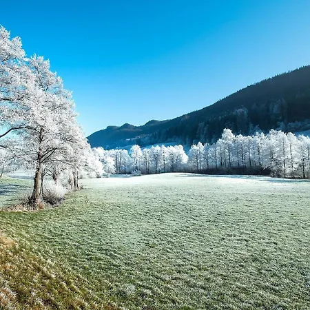 Alpen Apartment *